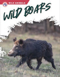 Wild Boars - MPHOnline.com
