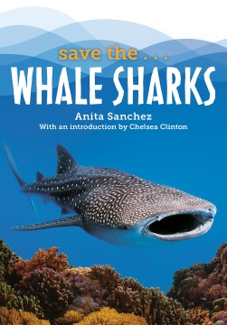 Save The? Whale Sharks - MPHOnline.com