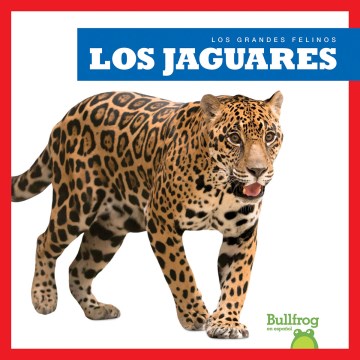 Los jaguares/ Jaguars - MPHOnline.com