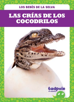 Las cr?as de los cocodrilos/ Crocodile Hatchlings - MPHOnline.com