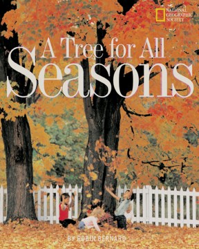 A Tree for All Seasons - MPHOnline.com