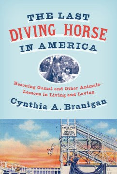 The Last Diving Horse in America - MPHOnline.com