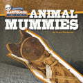 Animal Mummies - MPHOnline.com