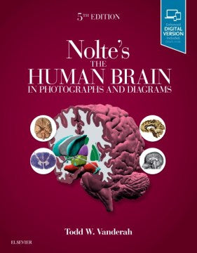 Nolte's the Human Brain in Photographs and Diagrams - MPHOnline.com