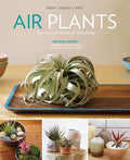 Air Plants: The Curious World of Tillandsias - MPHOnline.com