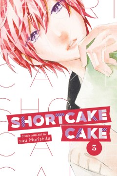 Shortcake Cake 3 - MPHOnline.com