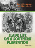 Slave Life on a Southern Plantation - MPHOnline.com