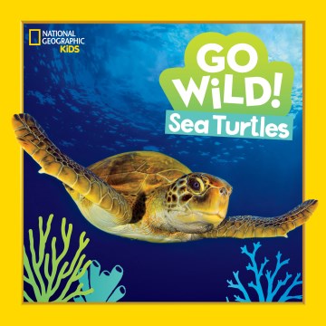 Go Wild! Sea Turtles - MPHOnline.com