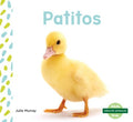 Patitos/ Ducklings - MPHOnline.com