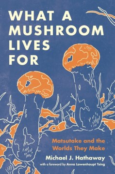 What a Mushroom Lives for - MPHOnline.com