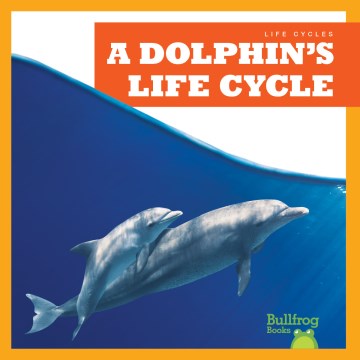 A Dolphin's Life Cycle - MPHOnline.com