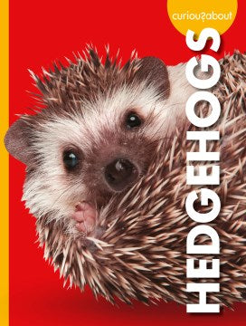 Curious About Hedgehogs - MPHOnline.com