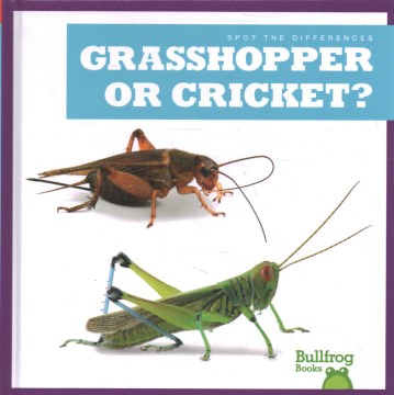 Grasshopper or Cricket? - MPHOnline.com