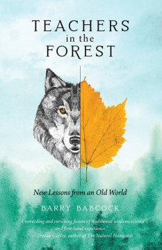 Teachers in the Forest - MPHOnline.com