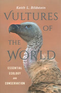 Vultures of the World - MPHOnline.com