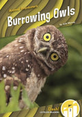 Burrowing Owls - MPHOnline.com