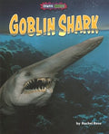 Goblin Shark - MPHOnline.com