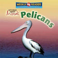 Pelicans - MPHOnline.com