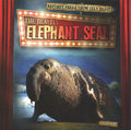 The Beastly Elephant Seal - MPHOnline.com