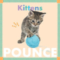 Kittens Pounce - MPHOnline.com