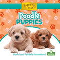 Poodle Puppies - MPHOnline.com