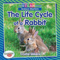 The Life Cycle of a Rabbit - MPHOnline.com