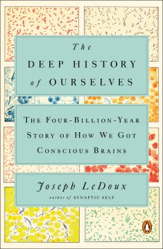 Deep History of Ourselves (Paperback) - MPHOnline.com