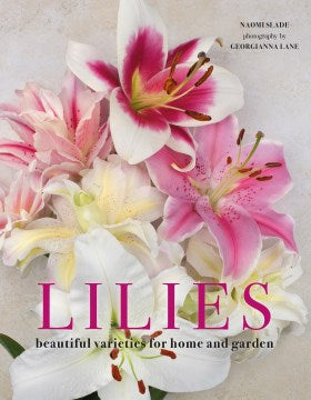 Lilies - MPHOnline.com