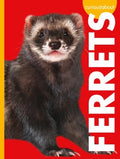 Curious About Ferrets - MPHOnline.com