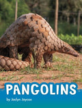 Pangolins - MPHOnline.com