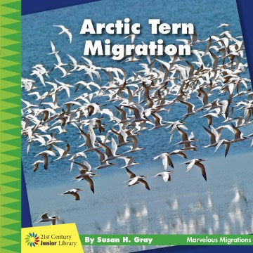 Arctic Tern Migration - MPHOnline.com