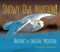 Snowy Owl Invasion! - MPHOnline.com