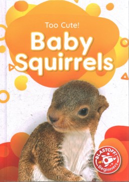 Baby Squirrels - MPHOnline.com