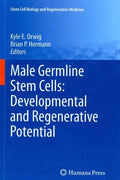 Male Germline Stem Cells - MPHOnline.com