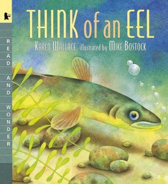 Think of an Eel - MPHOnline.com