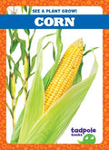 Corn - MPHOnline.com