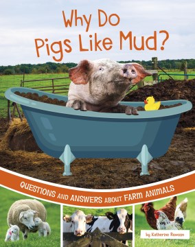 Why Do Pigs Like Mud? - MPHOnline.com