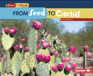 From Seed to Cactus - MPHOnline.com