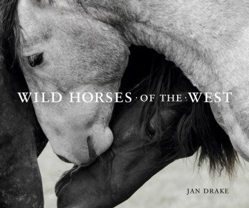 Wild Horses of the West - MPHOnline.com