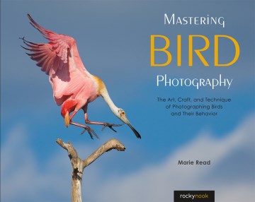 Mastering Bird Photography - MPHOnline.com