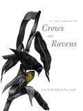 In the Company of Crows And Ravens - MPHOnline.com