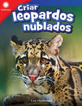 Criar leopardos nublados/ Raising Clouded Leopards - MPHOnline.com