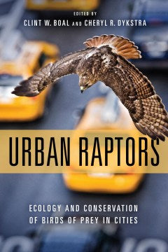 Urban Raptors - MPHOnline.com