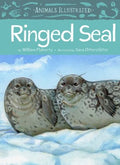 Ringed Seal - MPHOnline.com