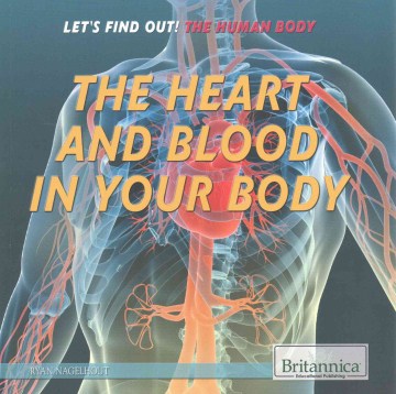 The Heart and Blood in Your Body - MPHOnline.com