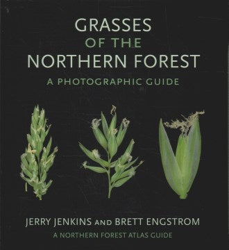 Grasses of the Northern Forest - MPHOnline.com