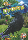 Crows - MPHOnline.com