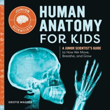 Human Anatomy for Kids - MPHOnline.com