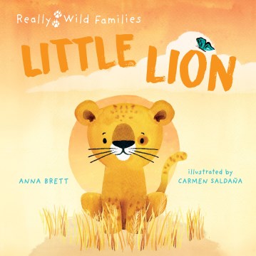 Little Lion - MPHOnline.com