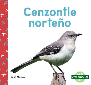 Cenzontle norte?o / Northern Mockingbirds - MPHOnline.com